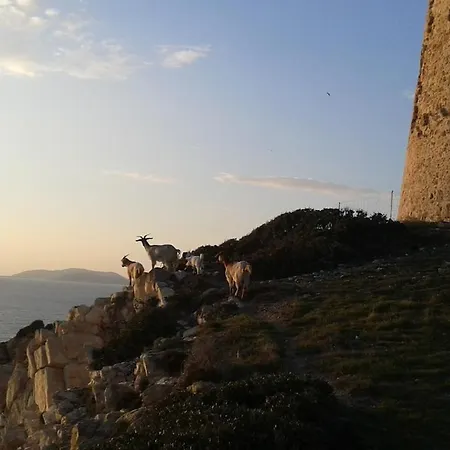 Tatil Evi Su Furriadroxu Tuerredda Teulada