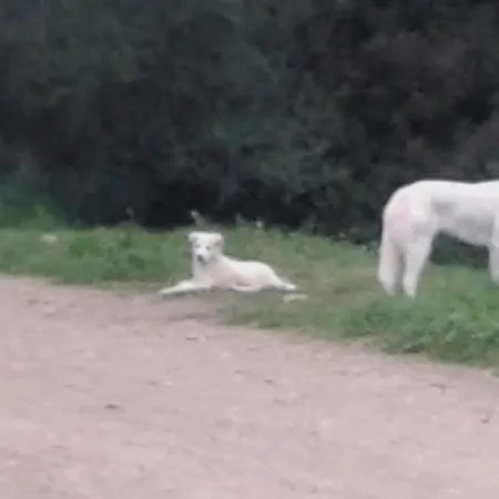 Tatil Evi Su Furriadroxu Tuerredda