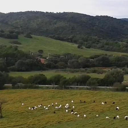 Su Furriadroxu Tuerredda Tatil Evi *