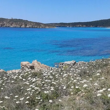 Su Furriadroxu Tuerredda Tatil Evi *